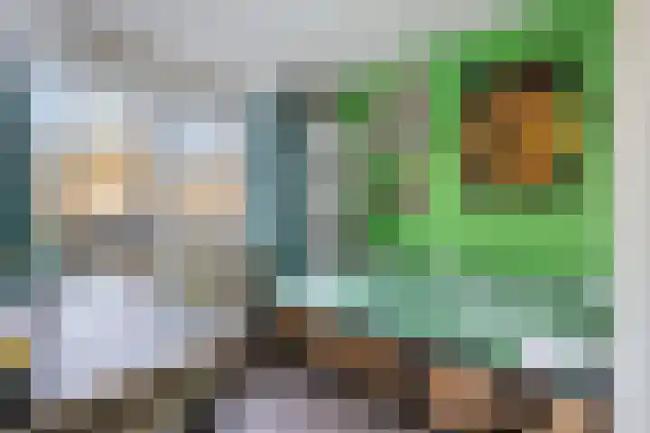 Zuiderstraat 9 Grolloo thumbnail 13