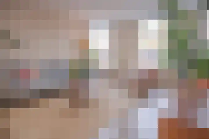Zuiderstraat 9 Grolloo thumbnail 15