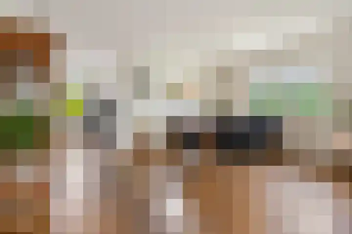 Zuiderstraat 9 Grolloo thumbnail 19