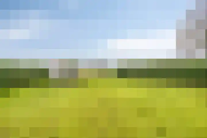 Zuiderstraat 9 Grolloo foto 2