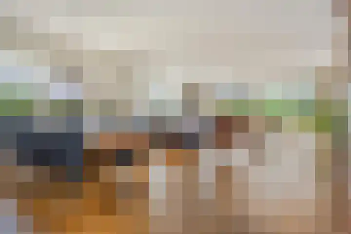 Zuiderstraat 9 Grolloo thumbnail 21