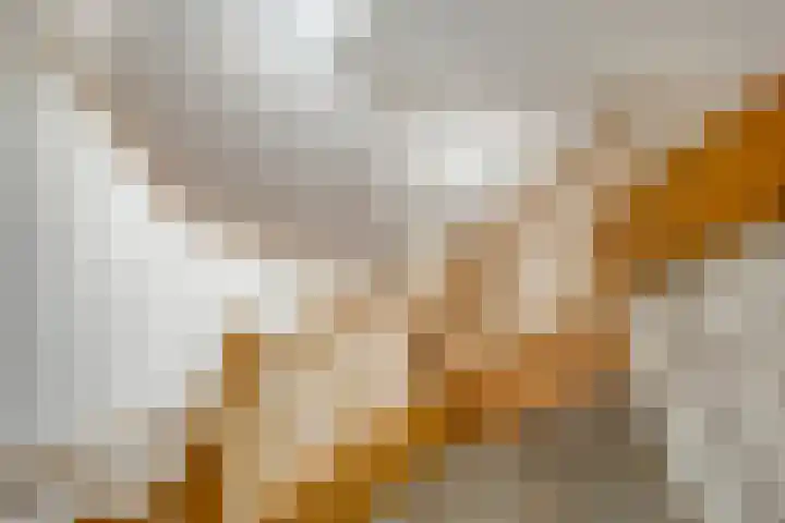 Zuiderstraat 9 Grolloo thumbnail 30