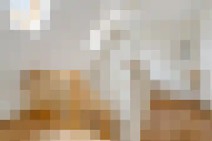 Zuiderstraat 9 Grolloo thumbnail 31