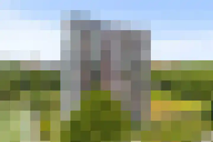 Zuiderstraat 9 Grolloo thumbnail 40
