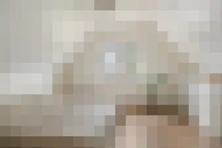 Zuiderstraat 9 Grolloo thumbnail 40