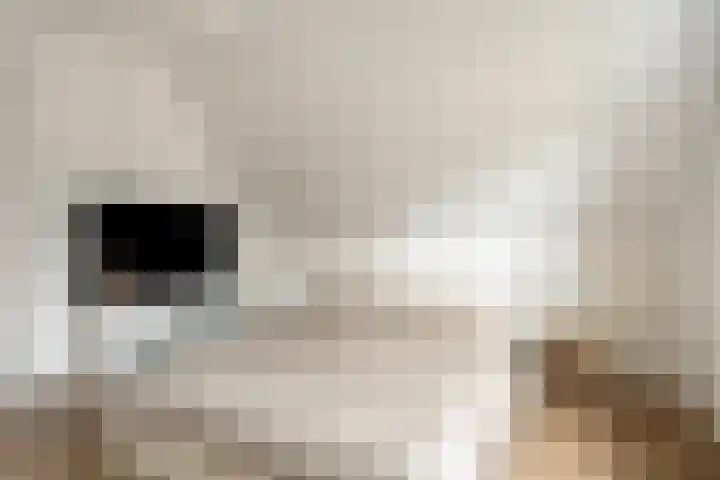 Zuiderstraat 9 Grolloo thumbnail 41