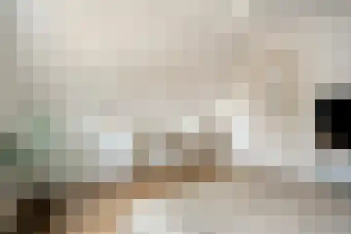 Zuiderstraat 9 Grolloo thumbnail 42
