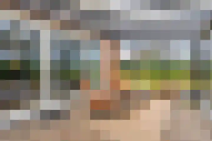Zuiderstraat 9 Grolloo thumbnail 52