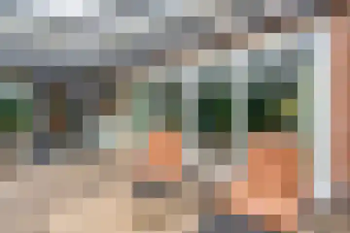 Zuiderstraat 9 Grolloo thumbnail 53