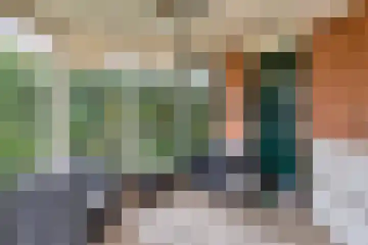 Zuiderstraat 9 Grolloo thumbnail 54