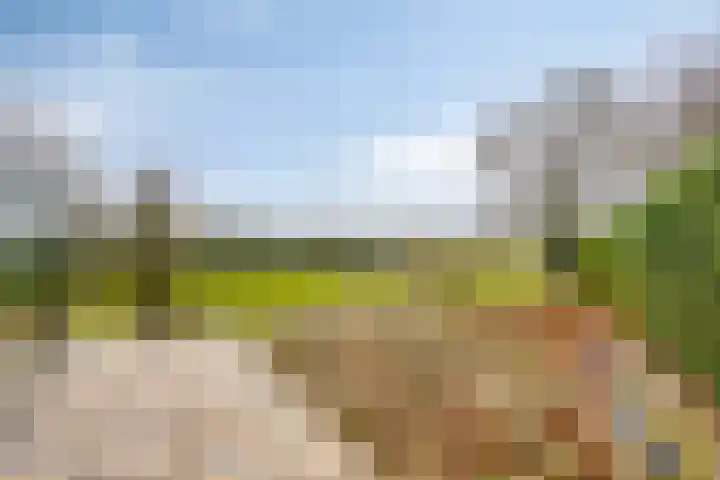 Zuiderstraat 9 Grolloo thumbnail 55