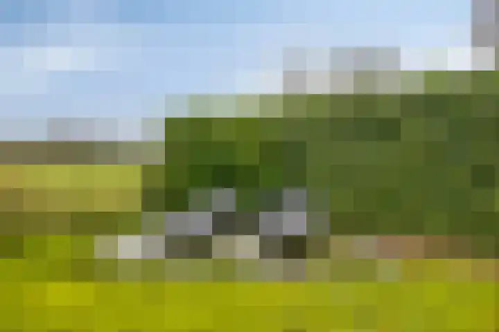 Zuiderstraat 9 Grolloo thumbnail 58