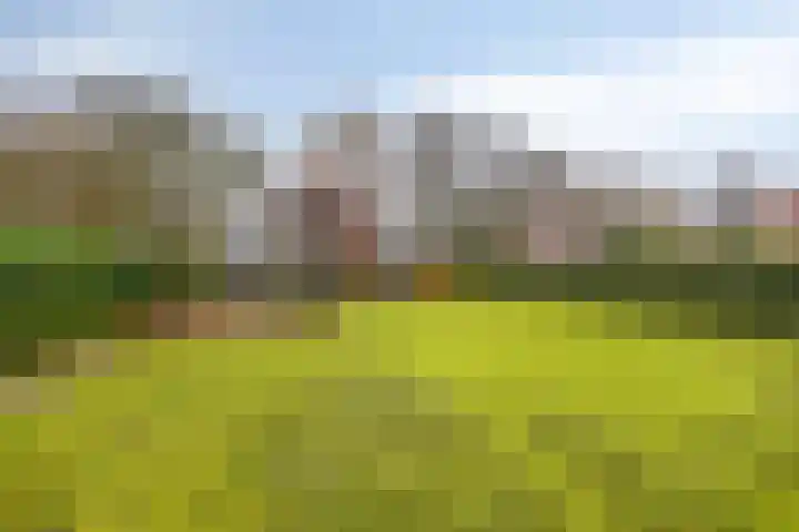 Zuiderstraat 9 Grolloo thumbnail 61