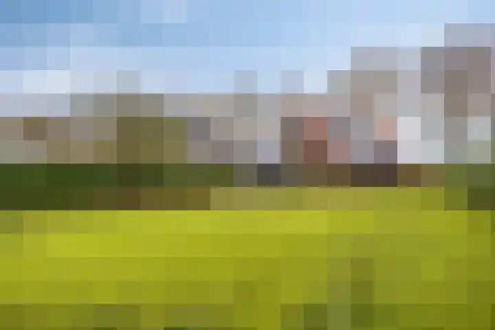 Zuiderstraat 9 Grolloo thumbnail 62