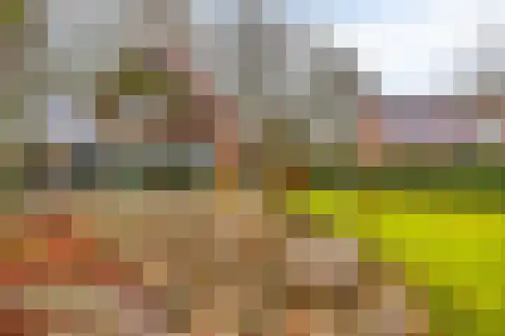 Zuiderstraat 9 Grolloo thumbnail 64