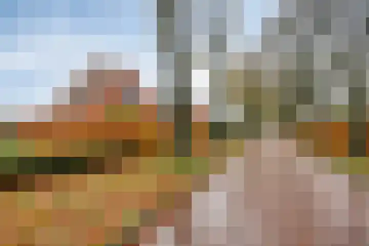 Zuiderstraat 9 Grolloo thumbnail 66