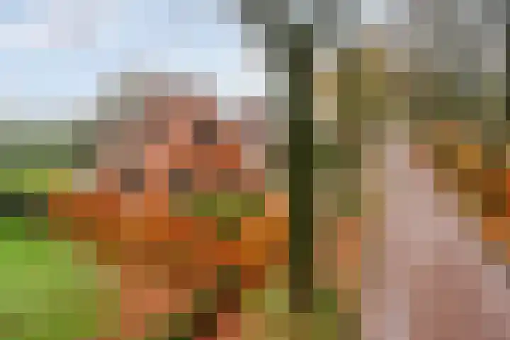 Zuiderstraat 9 Grolloo thumbnail 67