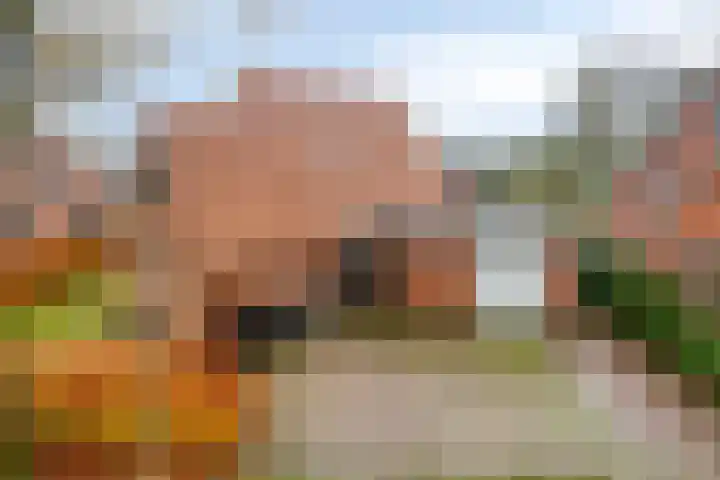 Zuiderstraat 9 Grolloo thumbnail 68