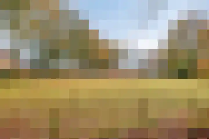 Zuiderstraat 9 Grolloo thumbnail 69