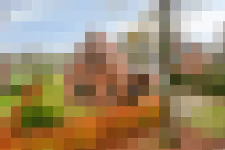 Zuiderstraat 9 Grolloo thumbnail 7