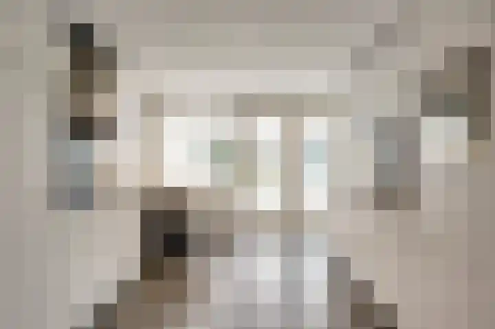 Zuiderstraat 9 Grolloo thumbnail 71
