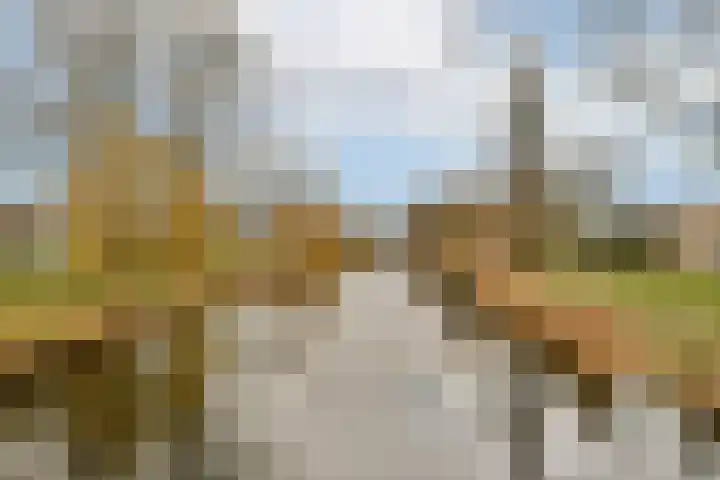 Zuiderven 4 Zaandam thumbnail 31