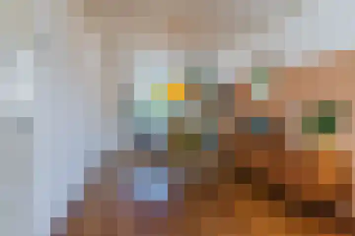 Zuiderwal 11 Culemborg thumbnail 11