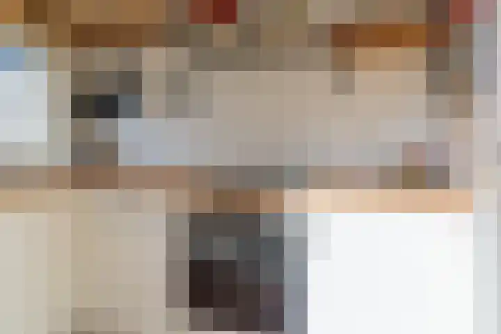 Zuiderwal 11 Culemborg thumbnail 14