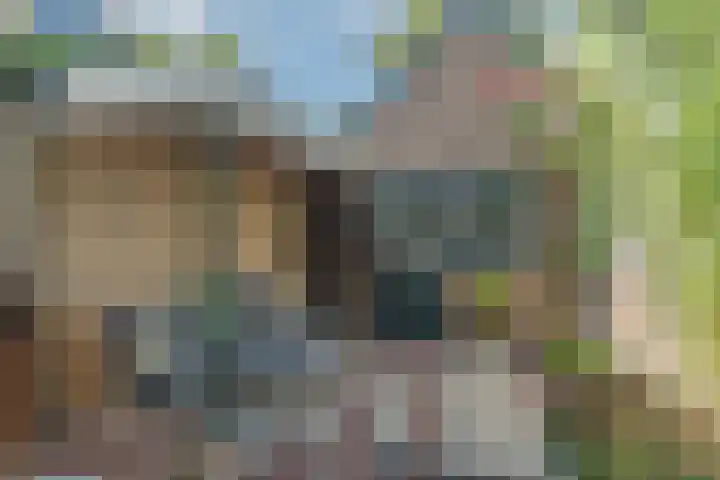 Zuiderwal 11 Culemborg thumbnail 27