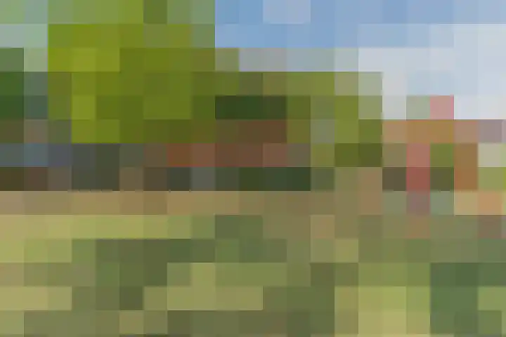 Zuiderwal 11 Culemborg thumbnail 32