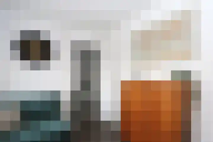 Zuiderweg 123 Groningen thumbnail 19