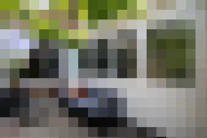 Zuiderweg 123 Groningen thumbnail 24