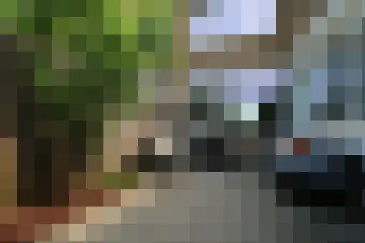 Zuiderweg 123 Groningen thumbnail 25