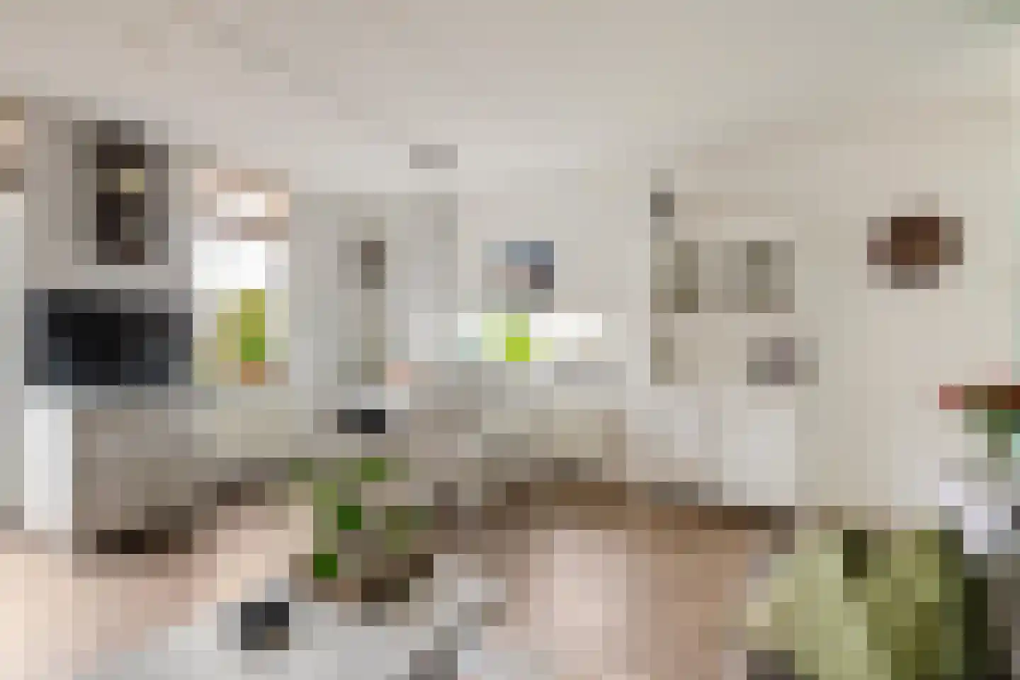 Zuiderweg 401 Groningen thumbnail 14