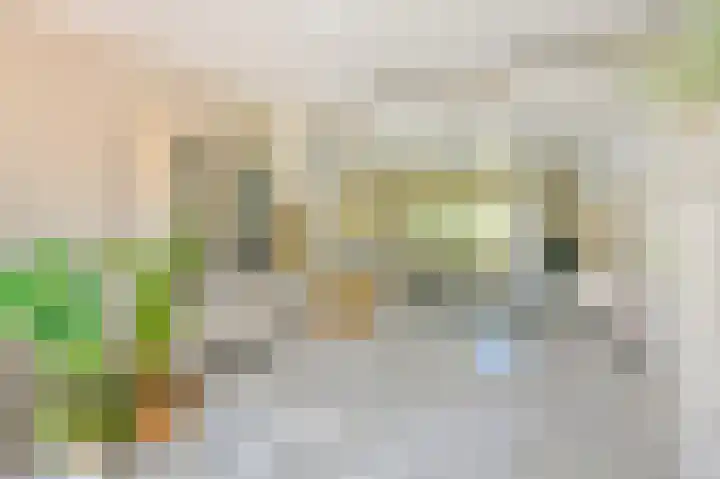 Zuiderweg 5 Huizen thumbnail 16