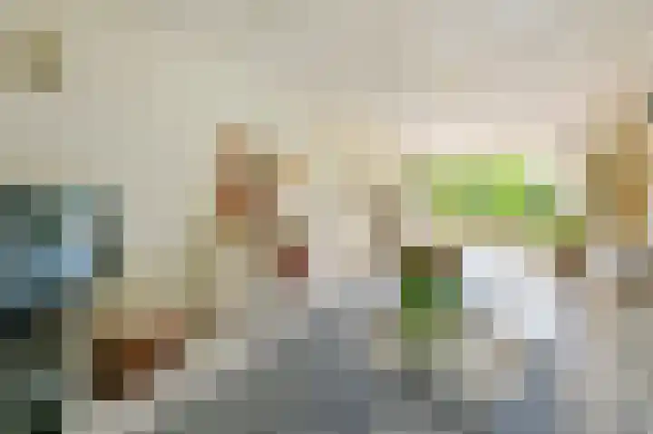 Zuiderweg 5 Huizen thumbnail 17