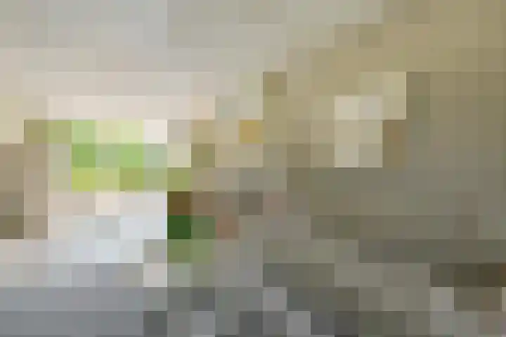 Zuiderweg 5 Huizen thumbnail 18