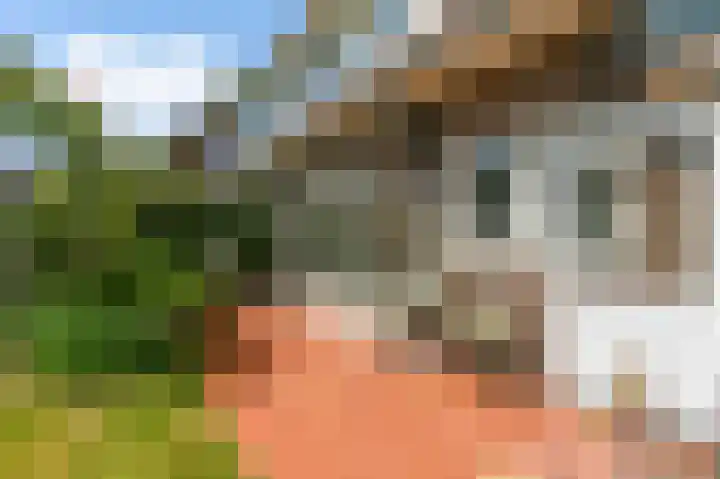 Zuiderweg 5 Huizen thumbnail 28