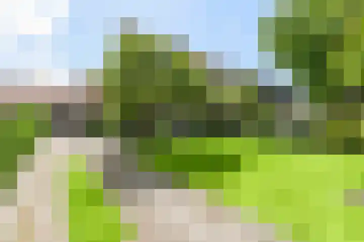 Zuiderweg 5 Huizen thumbnail 39