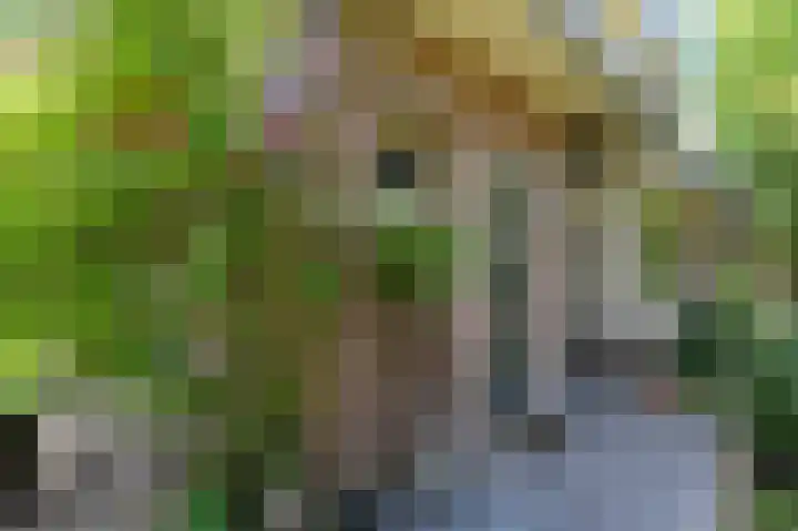 Zuiderweg 5 Huizen thumbnail 4