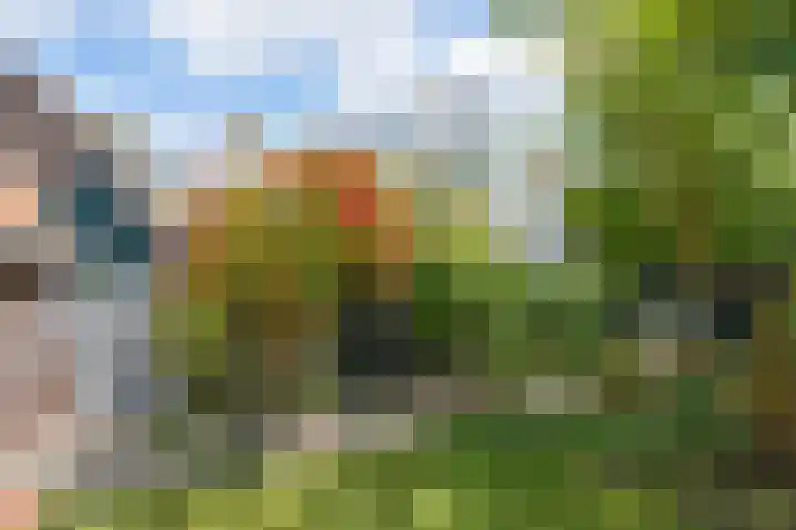 Zuiderweg 5 Huizen thumbnail 8