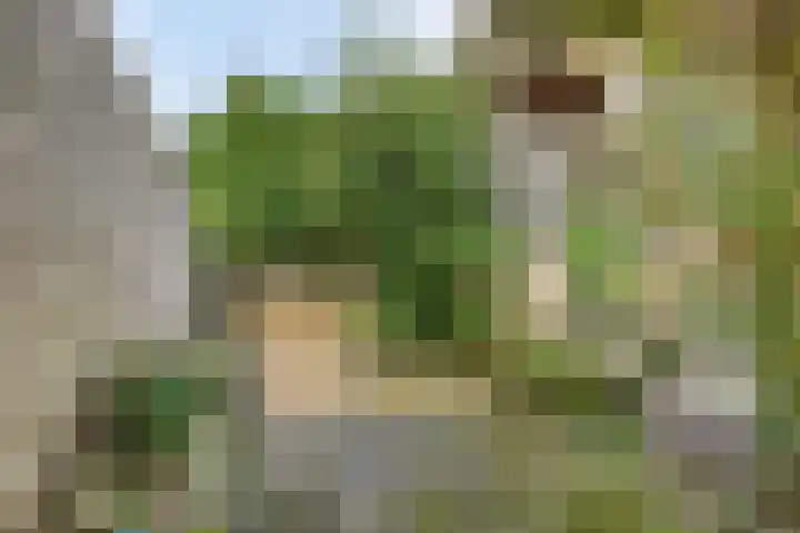 Zuiderweg 76 d Groningen thumbnail 33