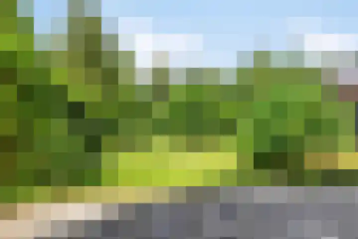 Zuiderweg 76 d Groningen thumbnail 34