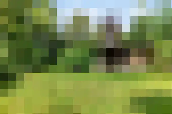 Zuiderweg 76 d Groningen thumbnail 35