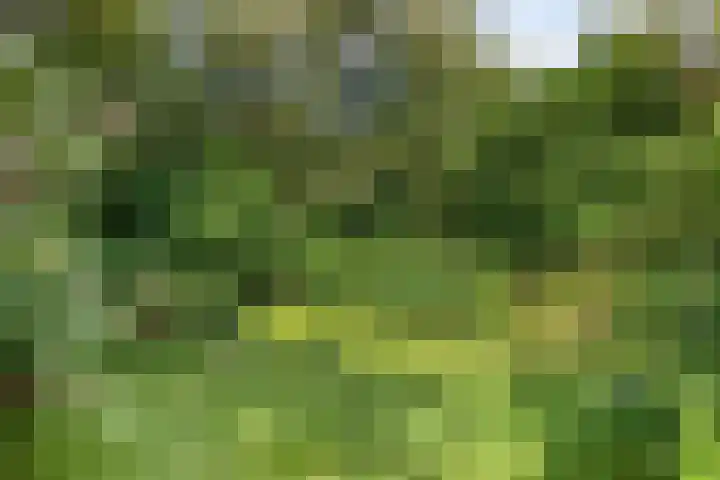 Zuiderweg 76 d Groningen thumbnail 37