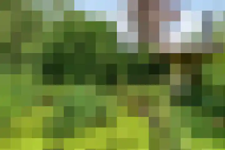 Zuiderweg 76 d Groningen thumbnail 38