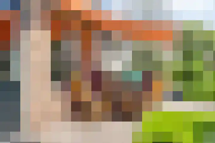 Zuiderweme 3 Ruurlo thumbnail 25