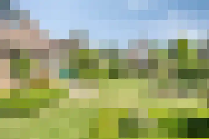 Zuiderweme 3 Ruurlo thumbnail 27