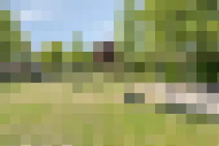Zuiderweme 3 Ruurlo thumbnail 31