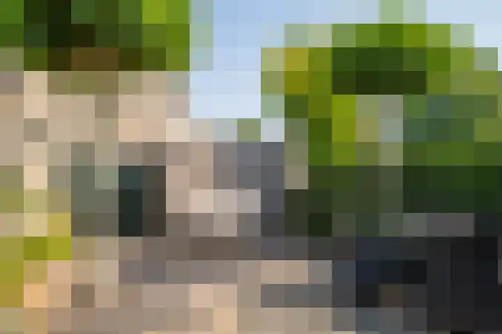 Zuiderzee 39 Huizen thumbnail 22